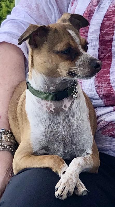 Yeah, I know I’m cute 😊