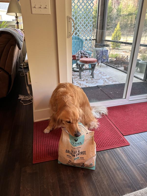 Dolly can’t wait to eat these bites!