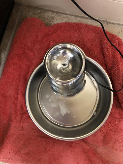 #3009 Big Max™ Premium Stainless Steel Drinking Fountain by Pioneer Pet 128  oz