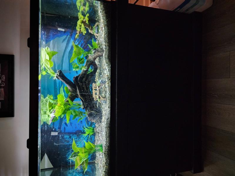 ACTIVFLORA Planted Aquarium Substrate, Lake Gems, 20lb bag