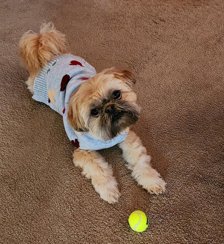 I'm ready to play ball!