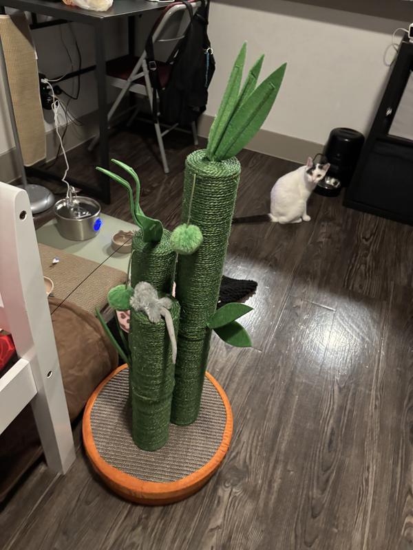 Frisco Lucky Bamboo Scratching Post, featuring Stelline