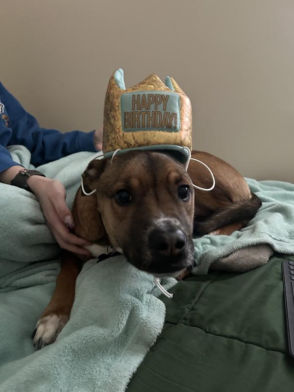 She likes it but prefers to play with it so try next year