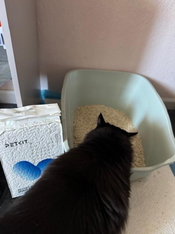 Checking out the litter right away