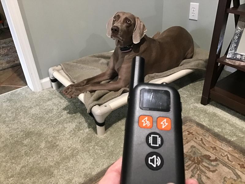 “Place” command.