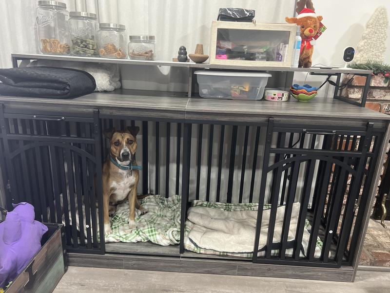 Displays beautifully