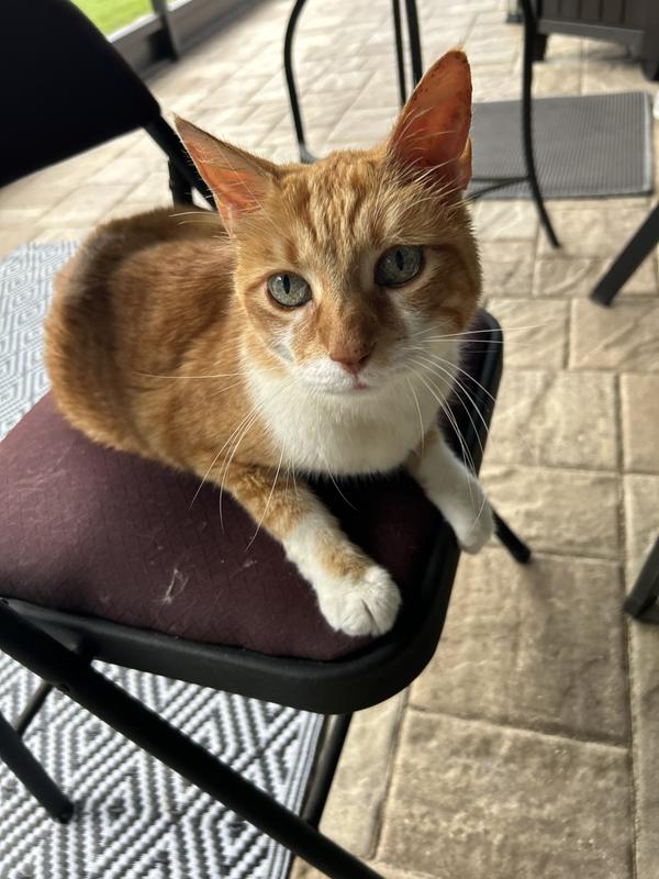 Our happy 17 year old