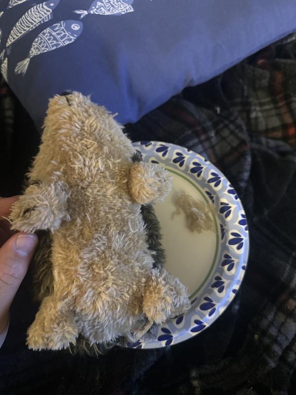 The stuff on the right is the fur that has been plucked off by me