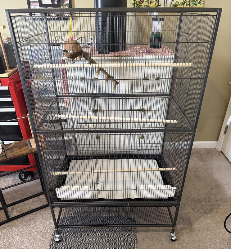 I will be moving my Parrotlet into new home, soon. I still need to order and had more perches, toys, etc.