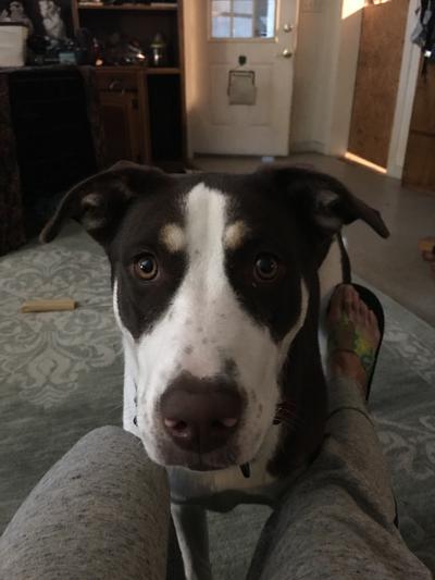 Time to fix my dinner.