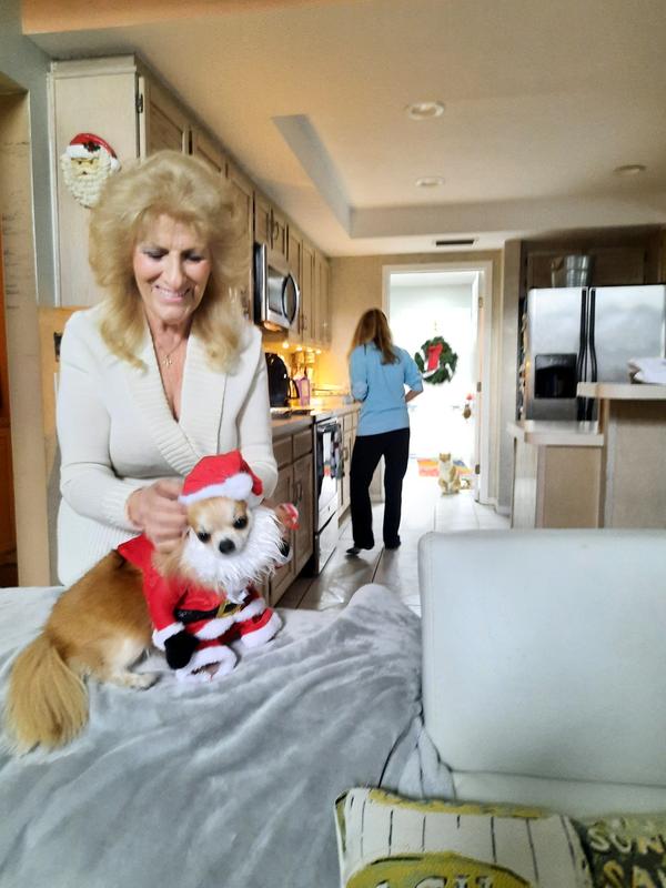 Me, Torchy, dressing up my little, long-haired, Chihuahua, 3 yr old Bambi.