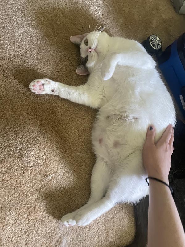 Before (she eating good)