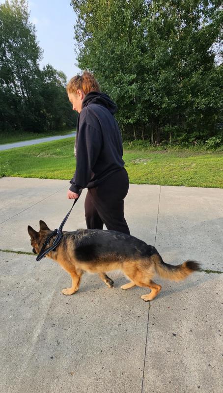 The leash adjusted so she can't have as much space to leave my side