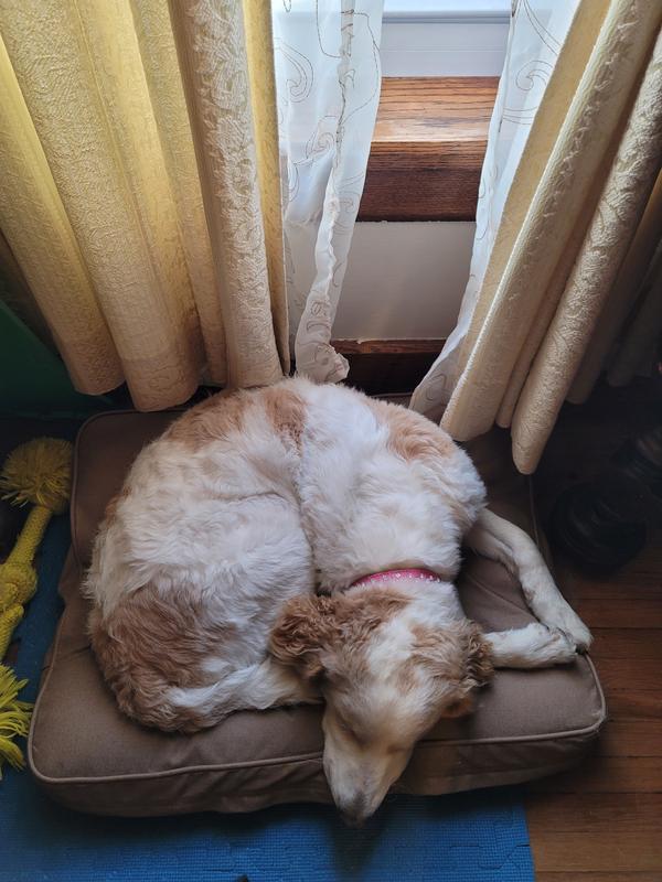 Leave me alone, I'm trying to sleep!