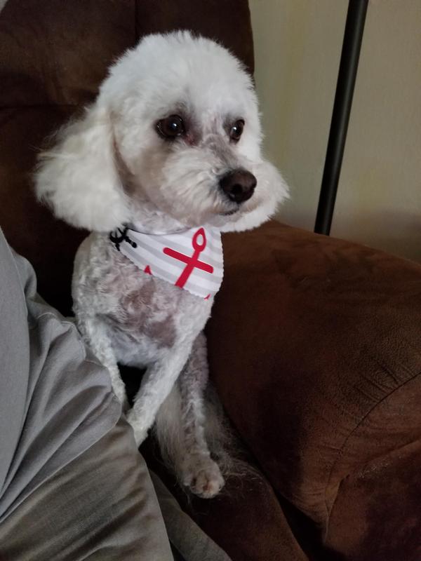 SOPHIE
