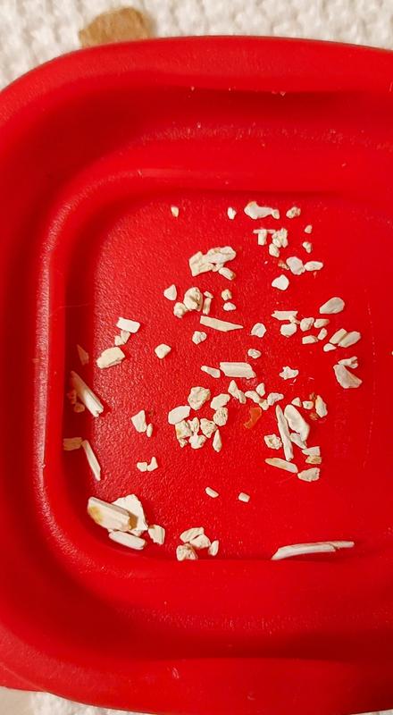White Hard Pieces
