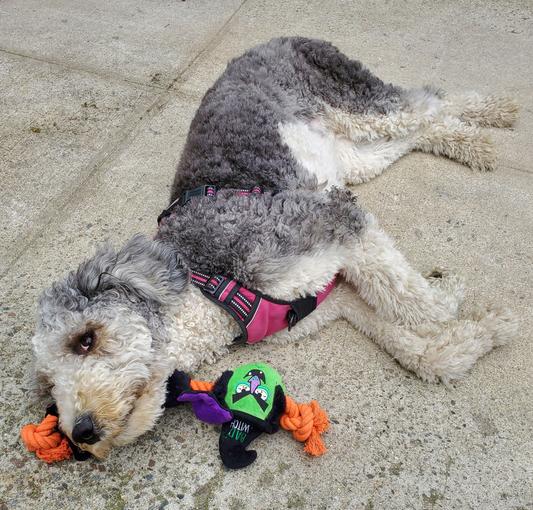 Using it as a pillow to rest up.