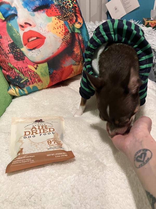 Kazu enjoying his Redbarn Air Dried food!