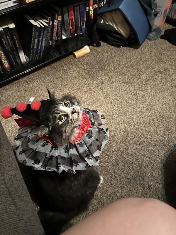 Her new costume