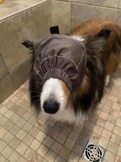 thunder calming cap