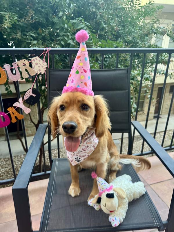 @josiethegoodgirl turns 1