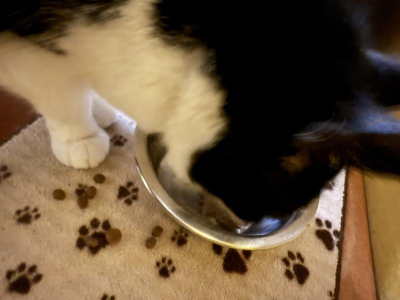 Video of her first time with this food!