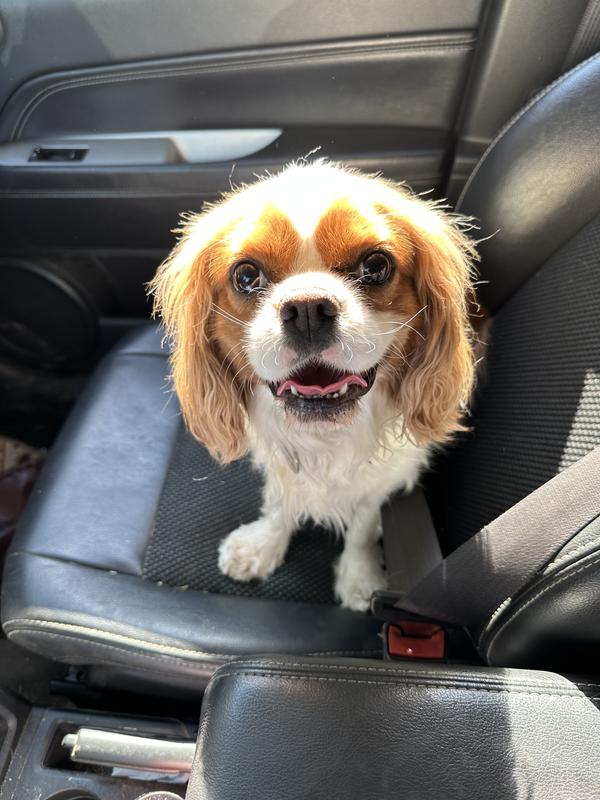 Berkeley is always smiling.