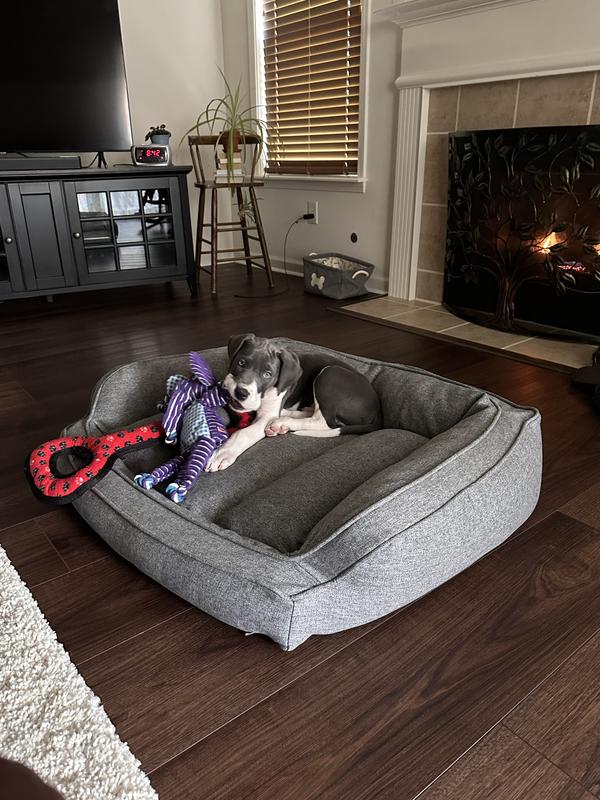 The first Eli Buddy.