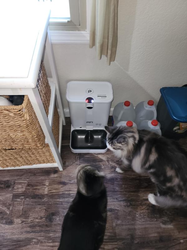 Lights to show you when a bin is empty.