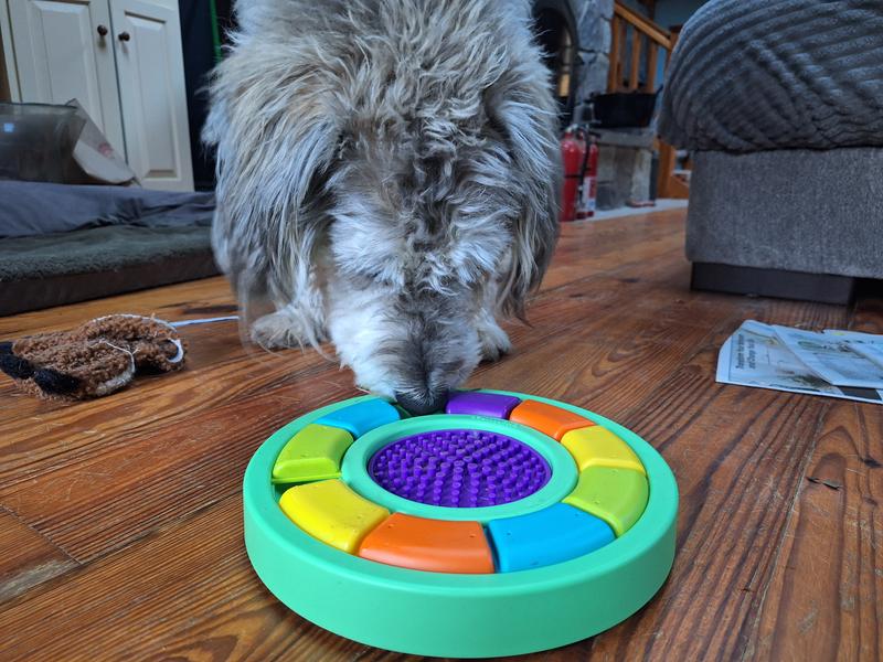 something is hiding in here