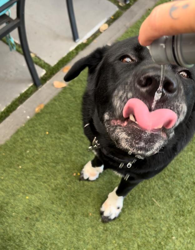 Slow pour in the mouth