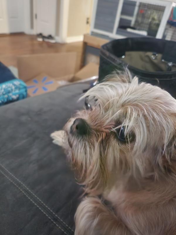 Her eyes are bright