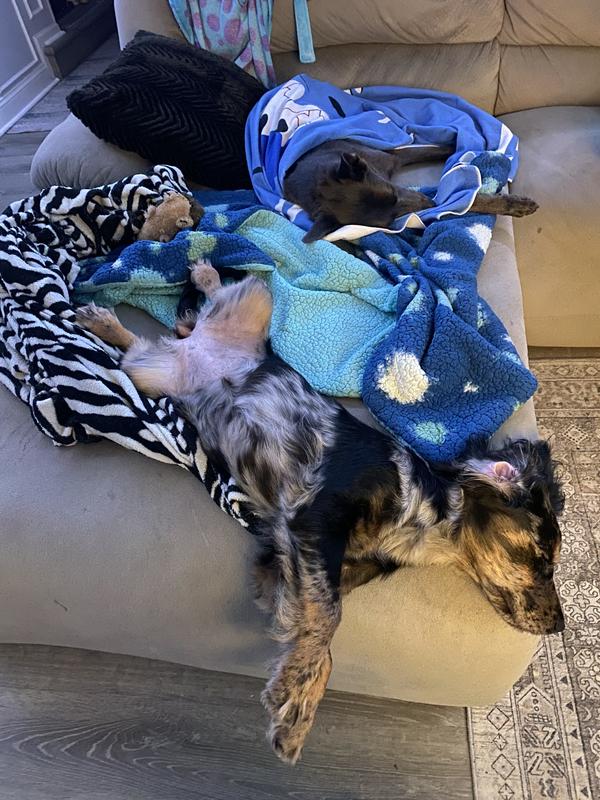 Post shower nap ❤️