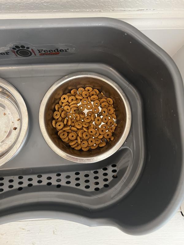 The dry food looks like little Cheerios. So cute!