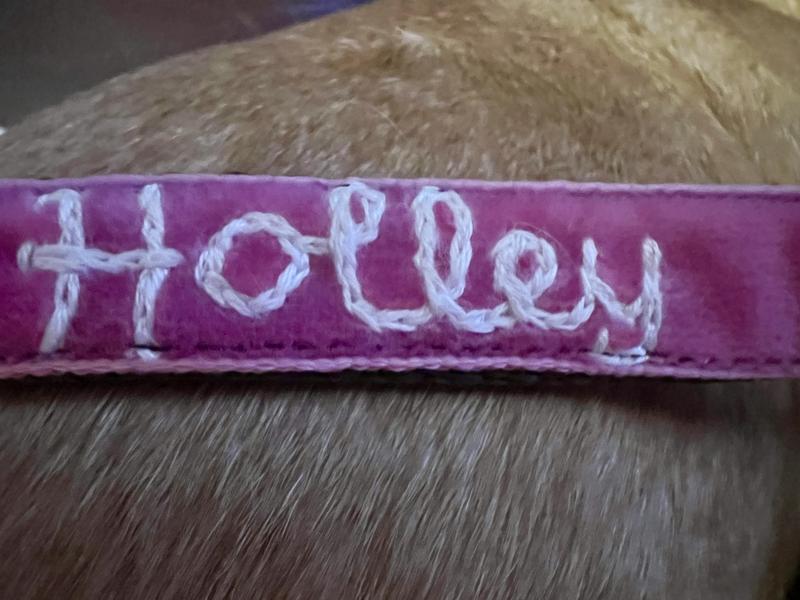 This embroidery won’t stand up very long.  No flower added as on the pictured one.