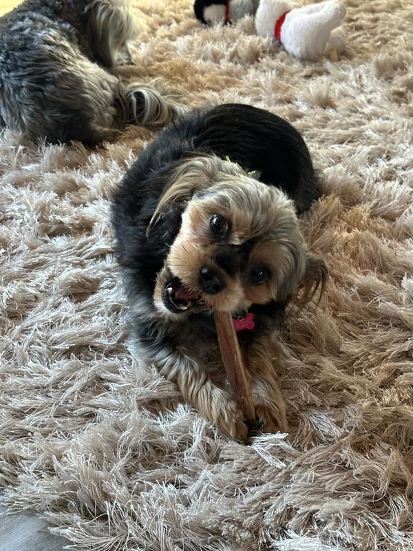 Molly couldn’t be happier at this moment!