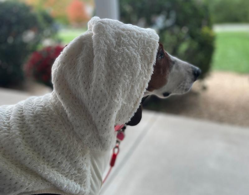 Frisco Plush Fur Dog & Cat Hoodie