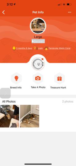Synch button and pet age