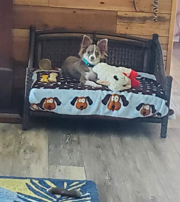 Woody's new bed and lamby toy