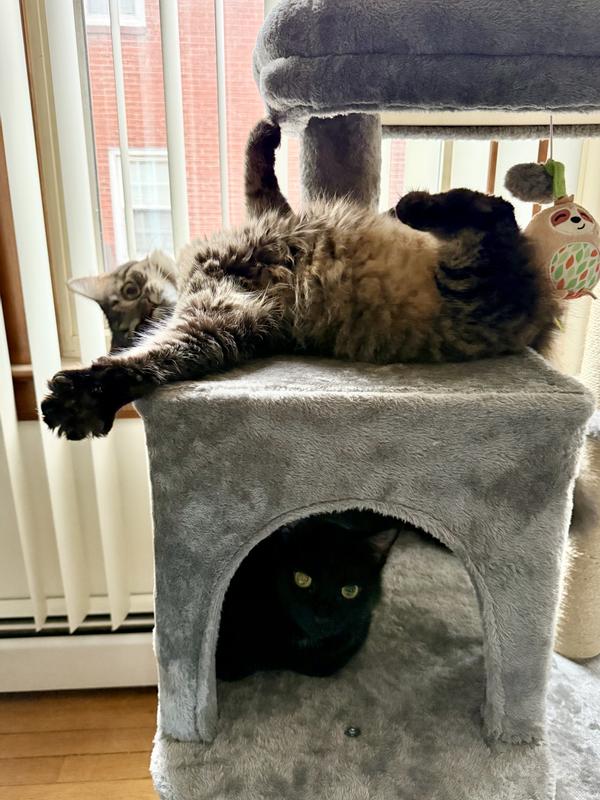 Two personalities summed up in one photo!