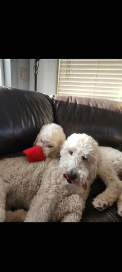 Leah is such a tease