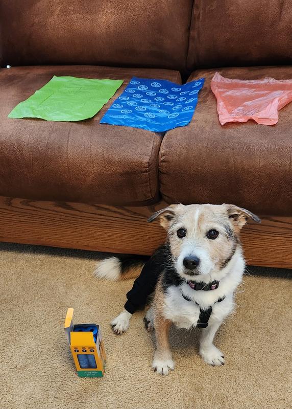 The Arm & Hammer box, my 18 lb helper, and the 3 bags I'm comparing.