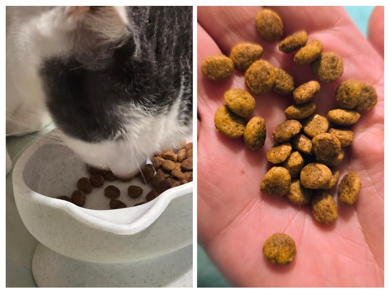 Enticing CKD Kibble