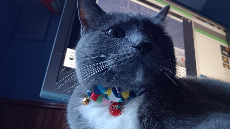 Ezra-san charms in his chirimen daruma tie