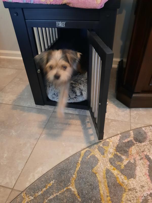 Ecoflex hotsell dog crate