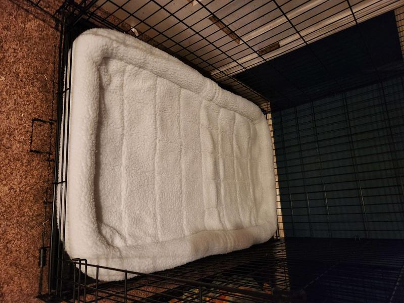 FRISCO Quilted Dog Crate Mat, Ivory, 54-in 