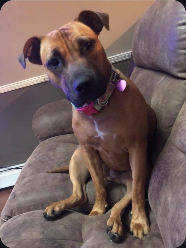 Roxi enjoyed Frosty Cone Chew because my daughter put yummy peanut butter inside.