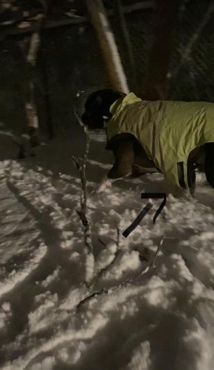 Aaaanddd the velcro is not working