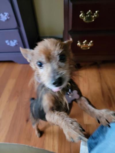 Is it time for snacks?