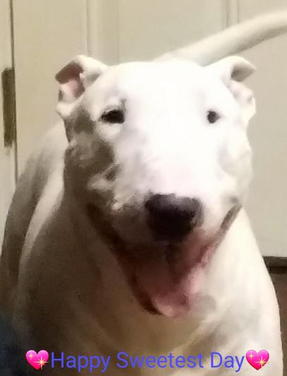 Happy lil fella